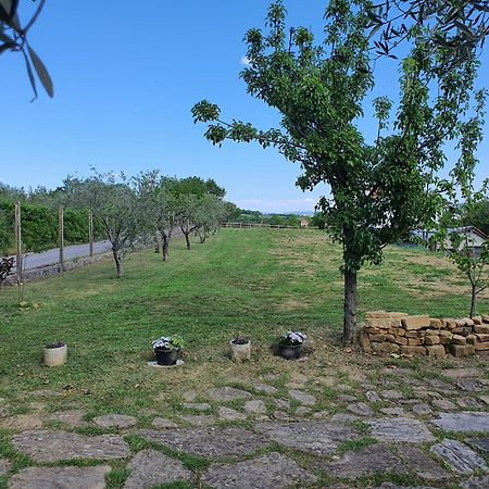 Apartma Vista Baredi Izola Exterior foto