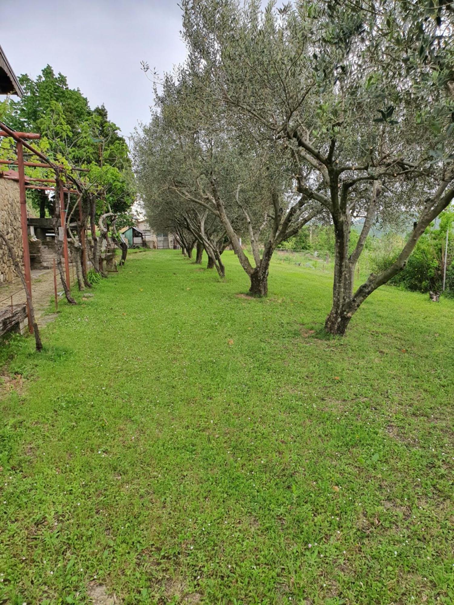 Apartma Vista Baredi Izola Exterior foto