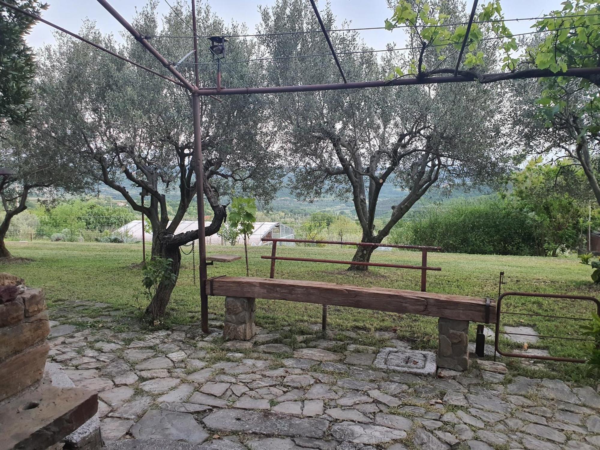 Apartma Vista Baredi Izola Exterior foto